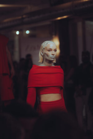 fotos colecciones anteriores